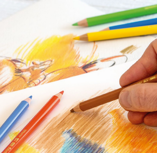 Faber Castell Polychromos Colour Pencils - Individual